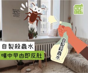 殺死曱甴